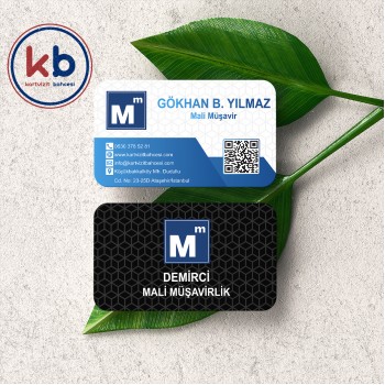 Serbest Muhasebeci Mali Müşavir Kartviziti KB 195
