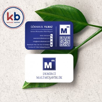 Serbest Muhasebeci Mali Müşavir Kartviziti KB 199